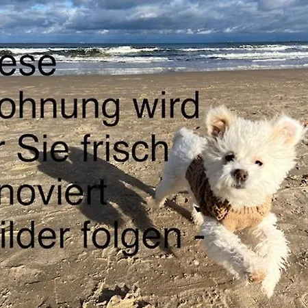 Monico * Heringsdorf (Usedom)